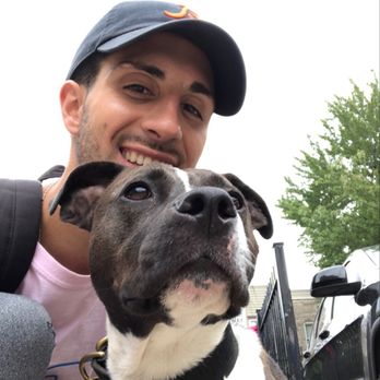 Smart Paws Chicago Smart Paws Chicago