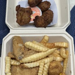 Conch Fritters