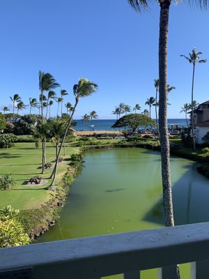 Kiahuna Plantation Resort Kauai by OUTRIGGER by null