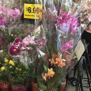 Grocery Outlet - Grocery Near Me - Burbank, California