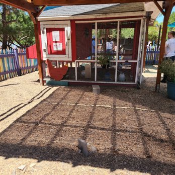 Animal Assisted Happiness - Community Service/Non-Profit Near Me - Sunnyvale, California Animal Assisted Happiness - Community Service/Non-Profit Near Me - Sunnyvale, California
