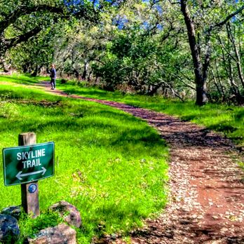 Skyline Wilderness Park - Parks Near Me - Napa, California Skyline Wilderness Park - Parks Near Me - Napa, California