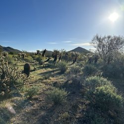 L2 Transportation - Beautiful Landscape at Desert Mountain Community