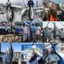 Photo of Albacore Charters