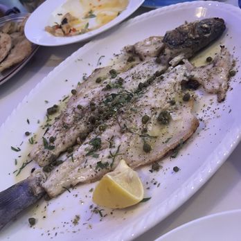 Yamas Greek Kitchen + Bar - Greek Near Me - Austin, Texas