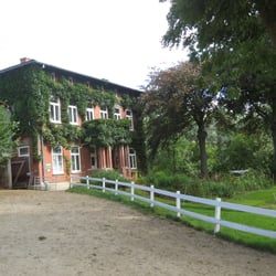 Friesische Schafskäserei