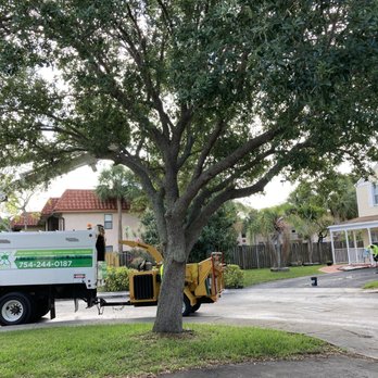 Mr X Tree Service - Tree Services Near Me Mr X Tree Service - Tree Services Near Me