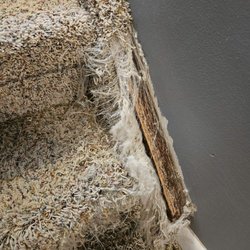 Kelly Prater Carpet Repair - Before