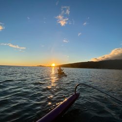 Blue Planet Surf - Sunset with my pup