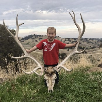 Accurized Firearms Custom Gunsmithing - My grandson dreaming of his first hunt. - Guns & Ammo Near Me - Vacaville, California Accurized Firearms Custom Gunsmithing - My grandson dreaming of his first hunt. - Guns & Ammo Near Me - Vacaville, California