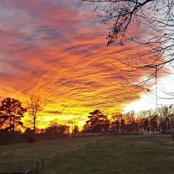 March Winds Farm - Sunset over the farm