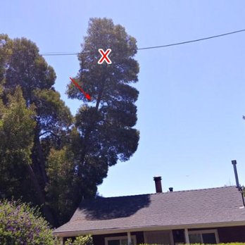 CBC Tree Services Inc - Huge branch leaning over house and another branch in the wires!  They removed entire tree. - Tree Services Near Me