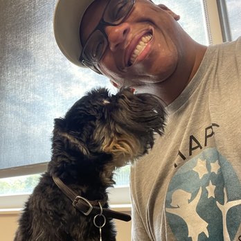 Barbieri Orthodontics - Hello, Smalls!!! Dr. Barbieri's dog. - Orthodontists Near Me - Smyrna, Tennessee Barbieri Orthodontics - Hello, Smalls!!! Dr. Barbieri's dog. - Orthodontists Near Me - Smyrna, Tennessee