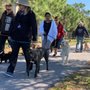 Photo of Train Pro Dogs