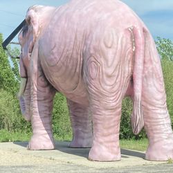 Pink Elephant