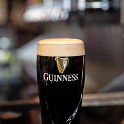 The Hungry Toad - Perfect Pour