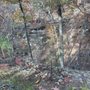 Photo of Hickory Canyon