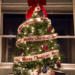 Pond View Gardens - Our awesome tree from Pond View Gardens!