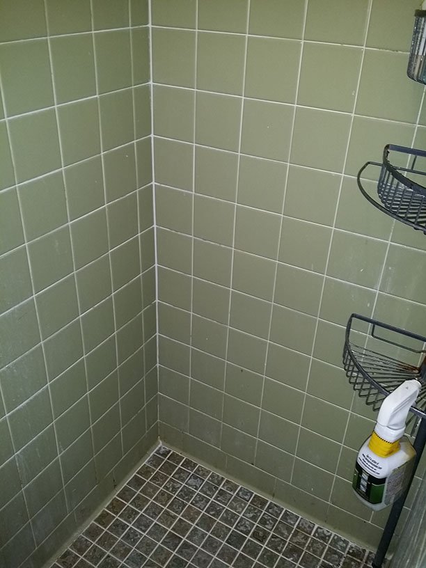 Slide of MTD Services