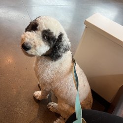 Woodhaven Veterinary Clinic