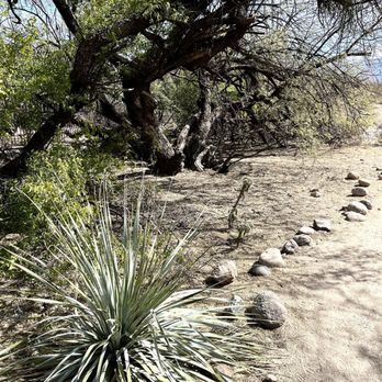 Sabino Canyon - Follow The Path - Parks Near Me - Tucson, Arizona Sabino Canyon - Follow The Path - Parks Near Me - Tucson, Arizona