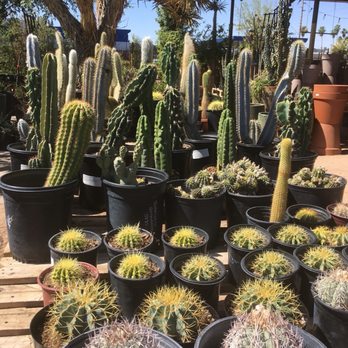 Dig It Gardens - Nurseries & Gardening Near Me - Phoenix, Arizona