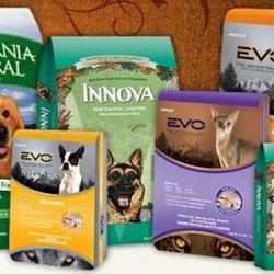 Yellow Roof Pet Care