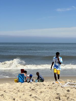 Cape Henlopen State Park by null