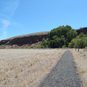 Selah Cliffs Natural Area Preserve - Making my way to the cliffs. Selah Creek runs through the greenery. - Parks Near Me - Yakima, Washington