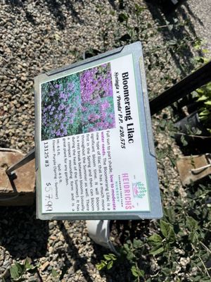 Heidrich's Colorado Tree Farm Nursery