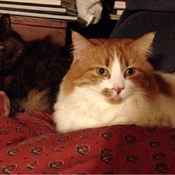 Pets & Petals - Two happy clients.