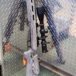 Central Valley Guns
