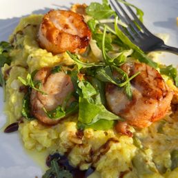 Scallops