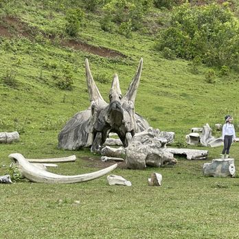 Kualoa Ranch - Tours Near Me - Kaneohe, Hawaii