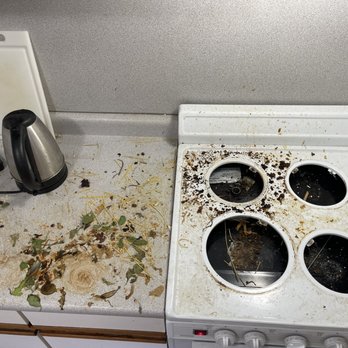 Neffy’s Cleaning Service - Before Kitchen countertop and stove top - Home Cleaning Near Me Neffy’s Cleaning Service - Before Kitchen countertop and stove top - Home Cleaning Near Me