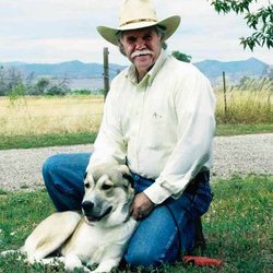 Better Manners Dog Training