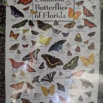 Turkey Creek Sanctuary - Parks Near Me - Palm Bay, Florida Turkey Creek Sanctuary - Parks Near Me - Palm Bay, Florida