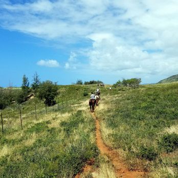 CJM Stables - Horseback Riding Near Me