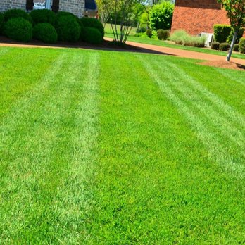 Appleridge Landscaping - a freshly mowed lawn - Lawn Services Near Me Appleridge Landscaping - a freshly mowed lawn - Lawn Services Near Me