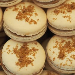 Lily Darling - Speculoos