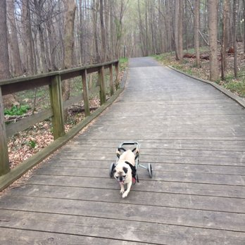 Black Hill Regional Park - Parks Near Me - Boyds, Maryland