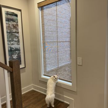 Bloomin' Blinds - Roller shades - Shades & Blinds Near Me
