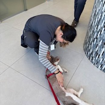 Kendall Pointe Animal Hospital - MistyMoon with the wonderful staff - Veterinarians Near Me - Miami, Florida