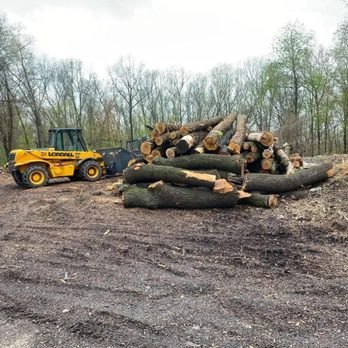 Maxon's Tree Service - Tree Services Near Me - White Lake, Michigan Maxon's Tree Service - Tree Services Near Me - White Lake, Michigan
