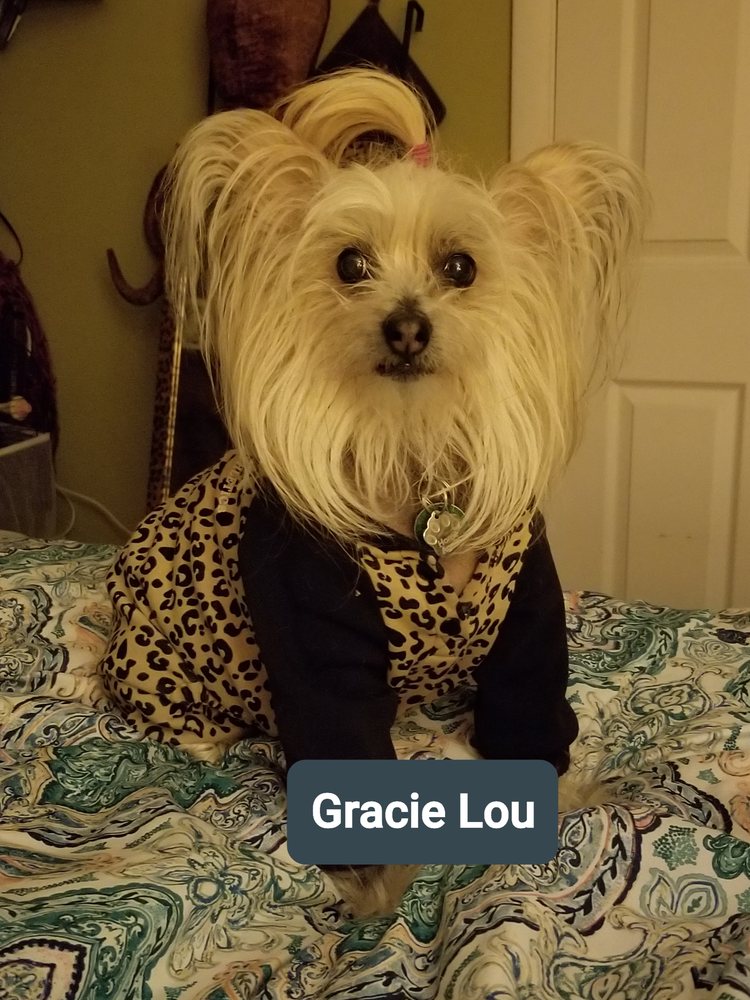 ANIMAL KRACKERS Updated September 2024 89 Photos & 15 Reviews 232