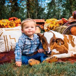 Morgan Family Farm
