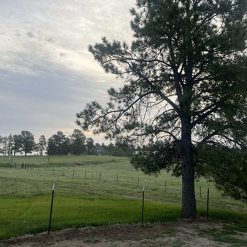 Osgood Team Real Estate - Real Estate Services Near Me - Parker, Colorado Osgood Team Real Estate - Real Estate Services Near Me - Parker, Colorado