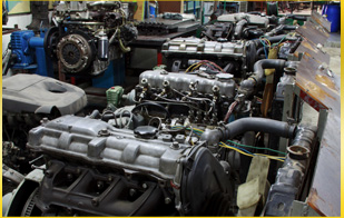 Locally Owned and Operated Since 2009 - Locally Owned and Operated Since 2009
Your wheels, our deals – cash for junk cars and great deals on auto parts
Let us haul away your old clunker – we’ll tow it for FREE and give you fast cash. We also sell used auto parts and tires, so you can get what you need at a great price. Call us 24 hours a day! Locally Owned and Operated Since 2009 - Locally Owned and Operated Since 2009
Your wheels, our deals – cash for junk cars and great deals on auto parts
Let us haul away your old clunker – we’ll tow it for FREE and give you fast cash. We also sell used auto parts and tires, so you can get what you need at a great price. Call us 24 hours a day!
