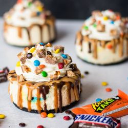 Momo's Gourmet Cheesecake