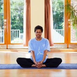 Yoga in Daily Life - Buford - Gentle Yoga - Yoga in Daily Life Buford.